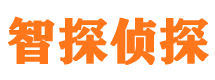 达日市私家侦探